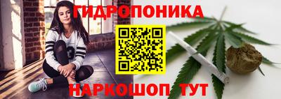 МДПВ Гагарин