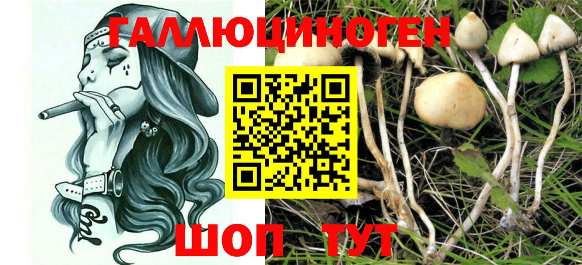 Псилоцибиновые грибы мицелий Искитим